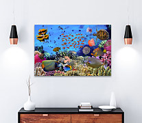 Obraz Morské živočíchy 1376